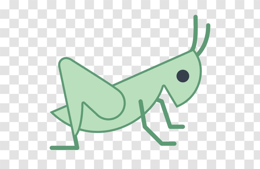 Insect Grasshopper Caelifera Clip Art Transparent PNG