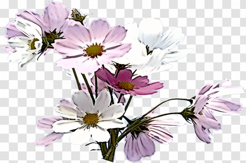 Rose Transparent PNG