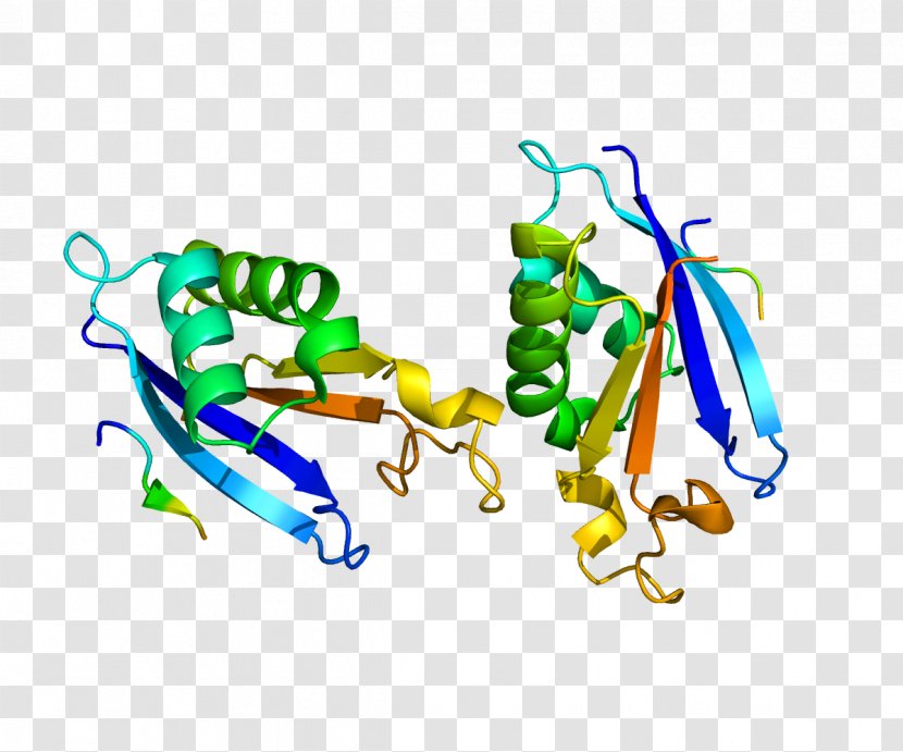 Na-K-Cl Cotransporter Protein Enzyme Gene Na+/K+-ATPase - Watercolor - Cartoon Transparent PNG