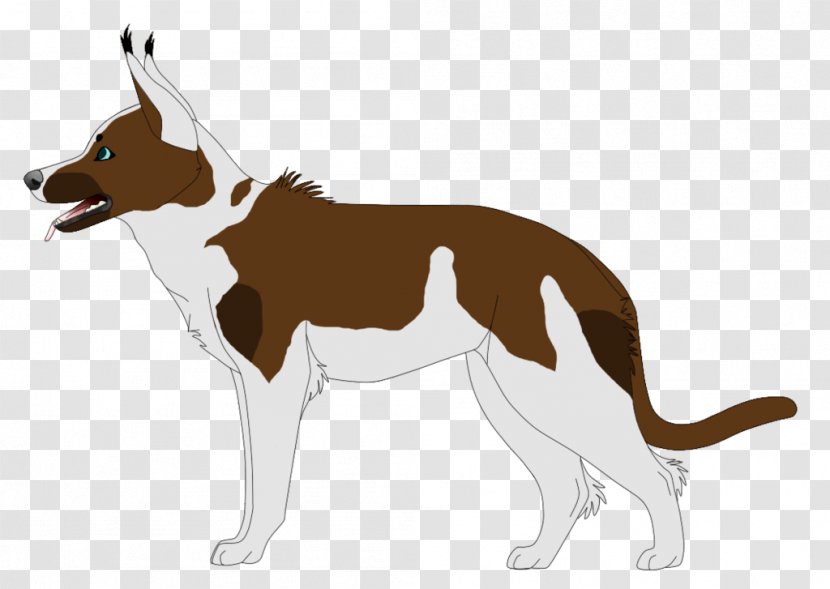 Dog Breed Macropodidae Paw Transparent PNG