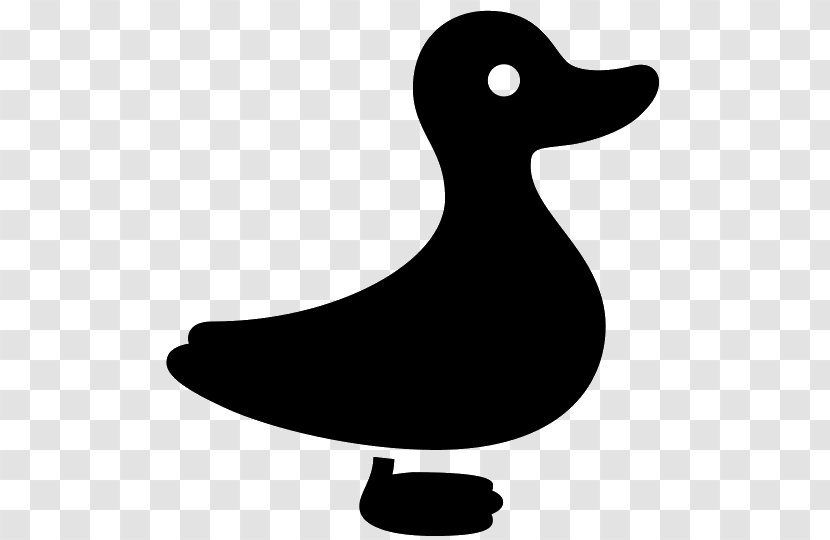Duck Download - Water Bird Transparent PNG