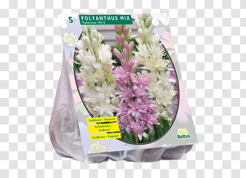 Cut Flowers Lilies Hyacinth Bulb Giant Allium - Flower Bouquet - Tuberose Transparent PNG