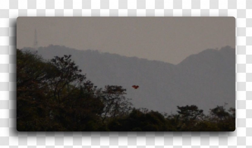 Unidentified Flying Object Costa Rica Extraterrestrial Life 0 - Grass - Marte Otra Vez Transparent PNG