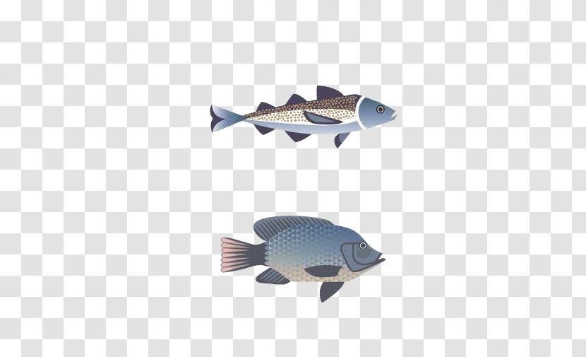 Fish ISO 216 Clip Art - Google Images Transparent PNG