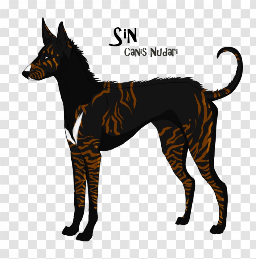 Dog Breed Ibizan Hound American Foxhound Julius-K9 IDC Powerharness - Seven Mortal Sins Transparent PNG