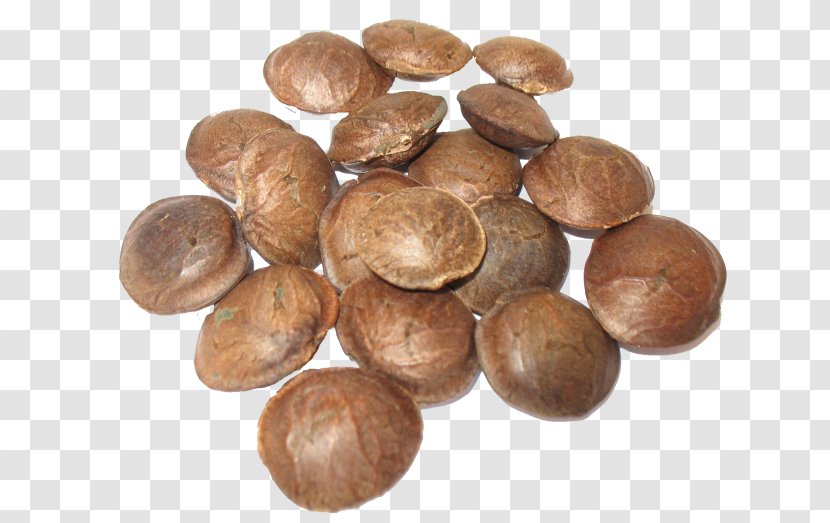 Plukenetia Volubilis Acid Gras Omega-3 Sacha Inchi Oil Seed - Nuts Seeds Transparent PNG