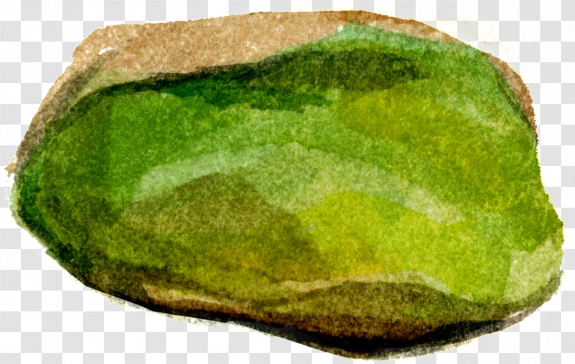 Green Grass Background - Jade - Emerald Moss Transparent PNG