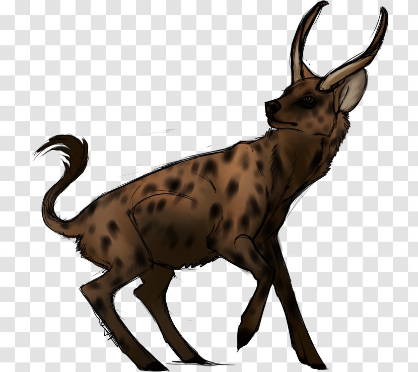 Antelope Deer Goat Horn Wildlife Transparent PNG