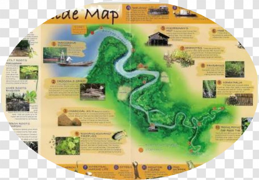 Ecotourism Hotel Lagoi Brochure - Book Transparent PNG