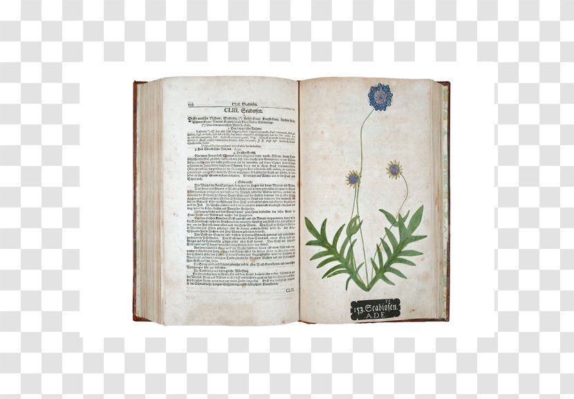 Impressions Of Nature: A History Nature Printing Paper Natural British Library - Leaf Specimen Transparent PNG