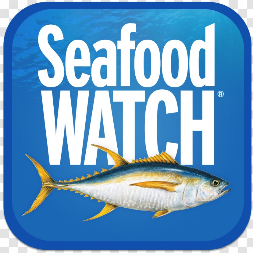 Sardine Fish Products Seafood Marine Biology Water - Herring Family Transparent PNG
