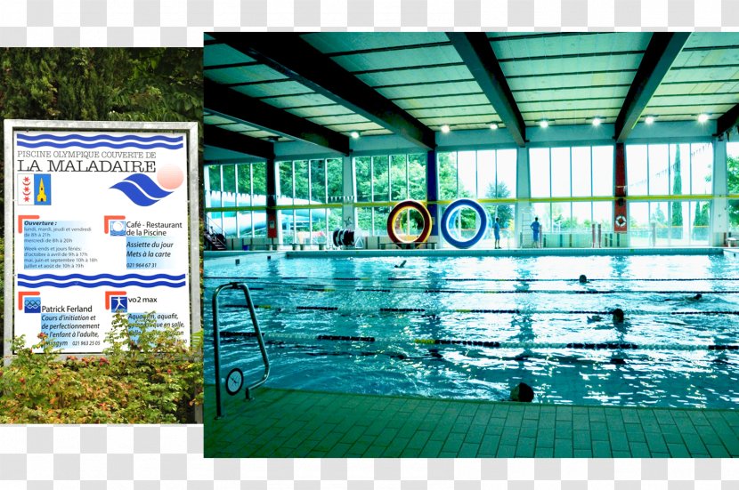Olympic-size Swimming Pool Communal The Maladaire Hotel Piscine Couverte De L'Ancien Stand - Advertising Transparent PNG