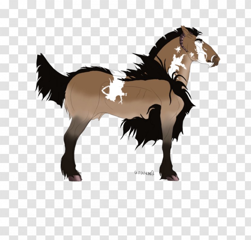 Mane Mustang Stallion Foal Pony - Colt Transparent PNG