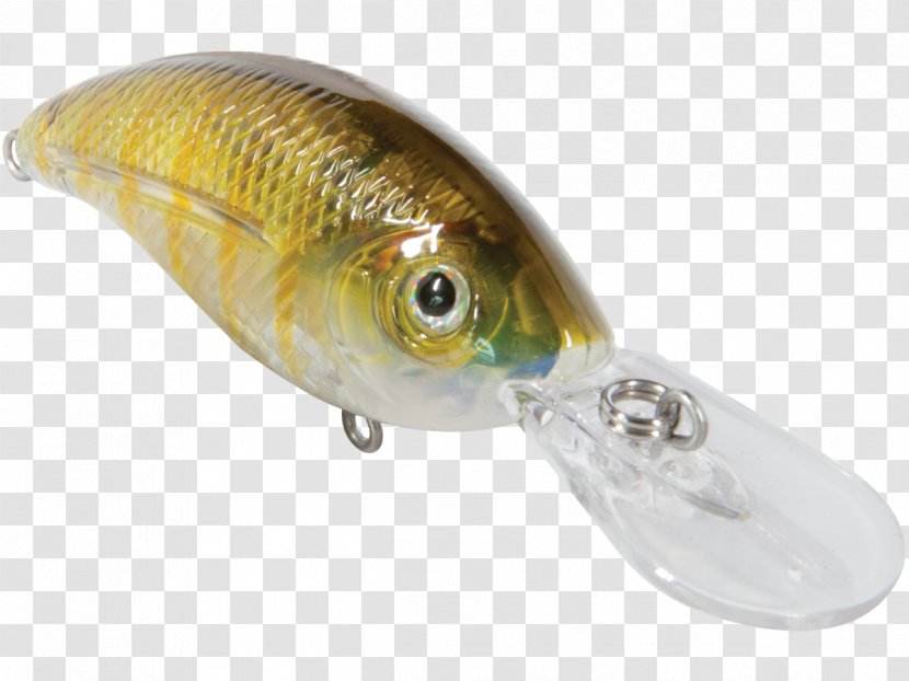 Fishing Baits & Lures Perch Osmeriformes Oily Fish - Deep Impact Transparent PNG