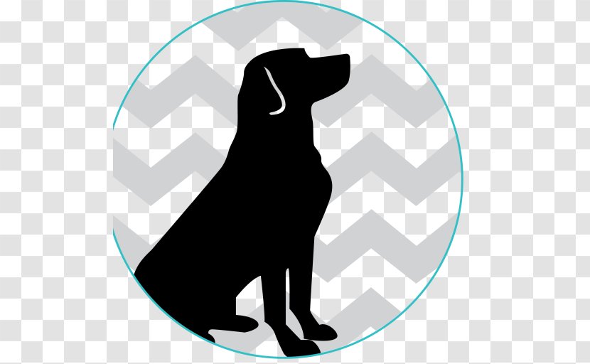 Dog Cat Veterinarian Mammal Silhouette - Black And White Transparent PNG
