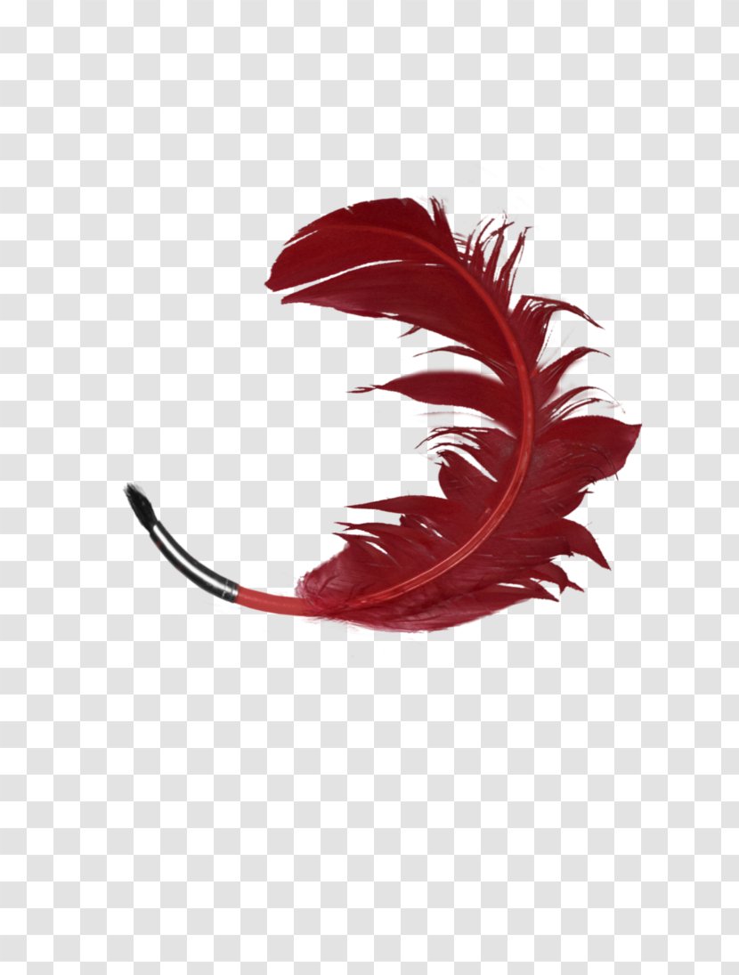 Eyelash Feather RED.M - Fashion Accessory - Appliances Illustration Transparent PNG