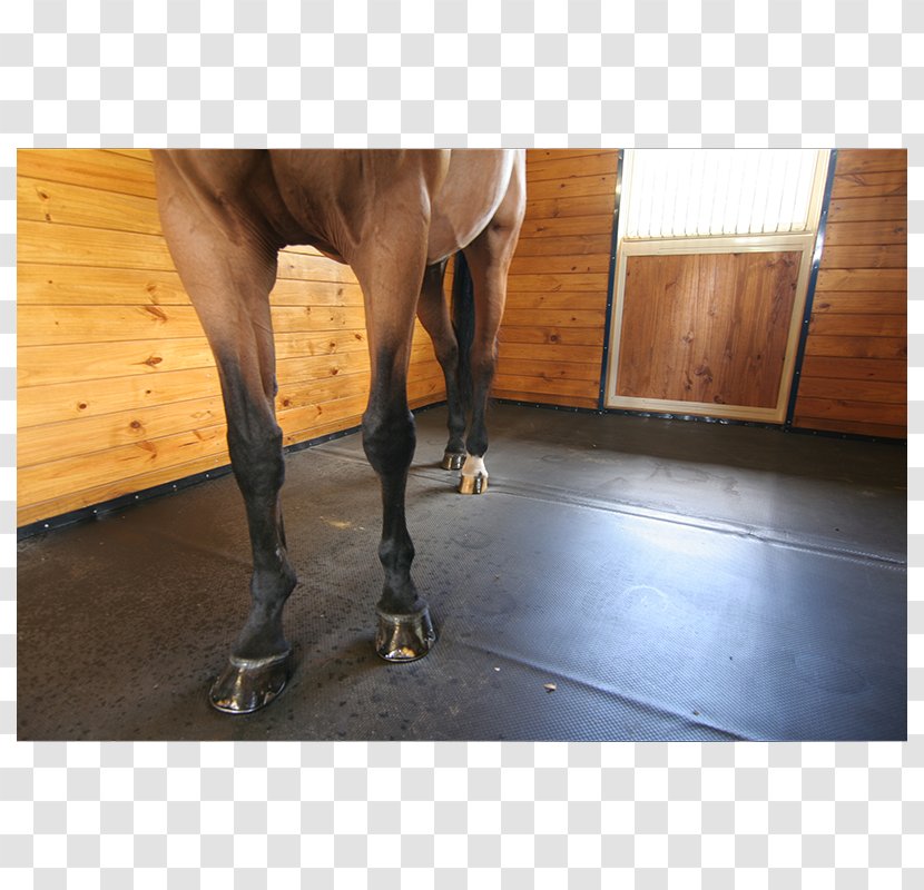 Horse Mat Stable Flooring Paddock Transparent PNG