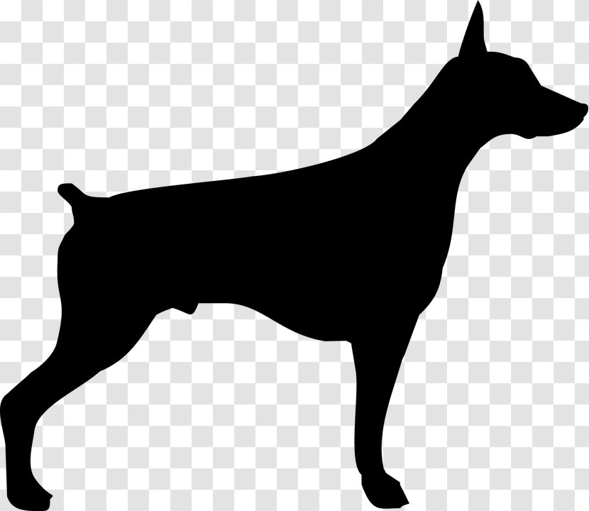 Dobermann German Pinscher Miniature Puppy Rottweiler - Dog Breed - Dobermanface Transparent PNG