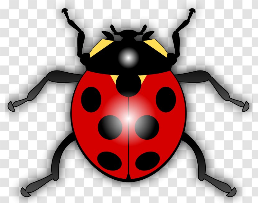 Ladybird Drawing Clip Art - Free Content - Cartoon Cardinal Bird Transparent PNG