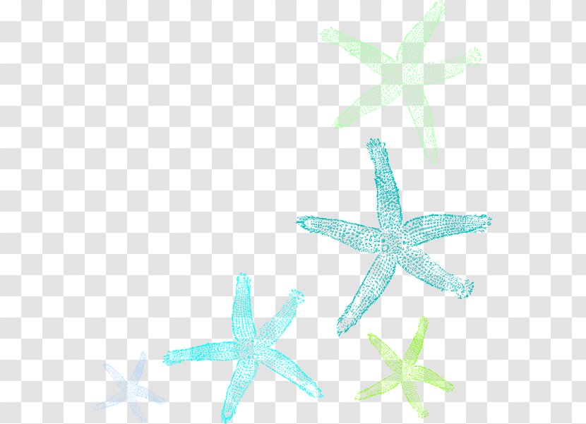 Starfish Clip Art - Organism Transparent PNG