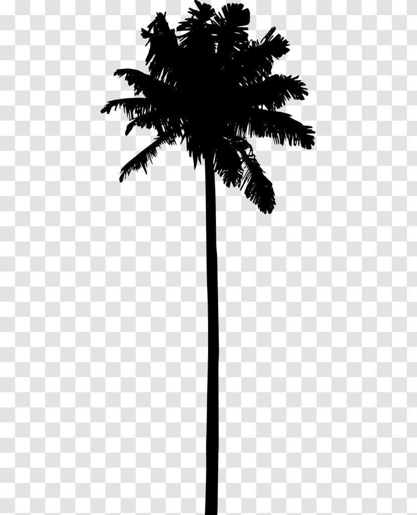 Clip Art Silhouette Palm Trees Vector Graphics - Woody Plant - Tree Icons Transparent PNG