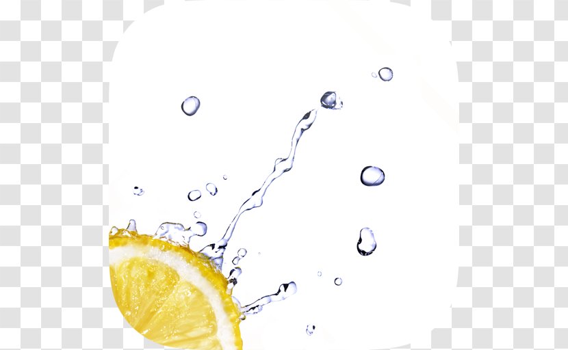 Water Stock Photography Lemon Drop Royalty-free - Orange Transparent PNG