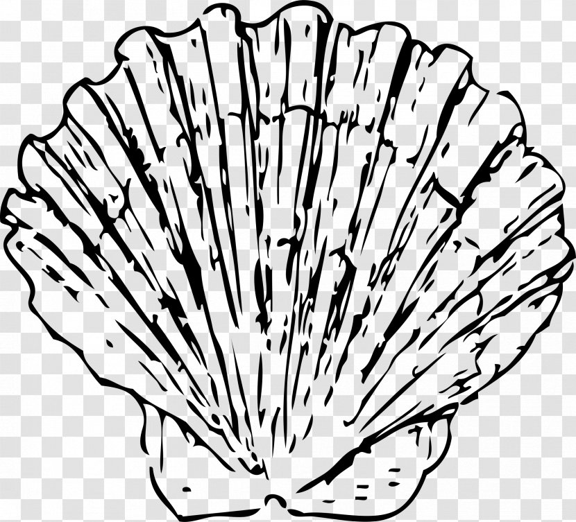 Seashell Conch Clam Clip Art - Black And White - Rib Clipart Transparent PNG