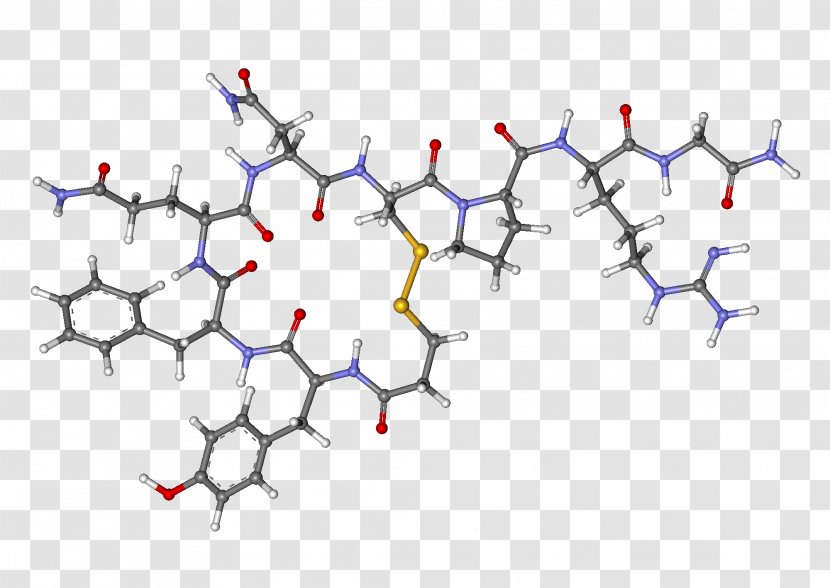 Vasopressin Desmopressin Antidiuretic Hormone Diabetes Insipidus - Haemophilia A Transparent PNG