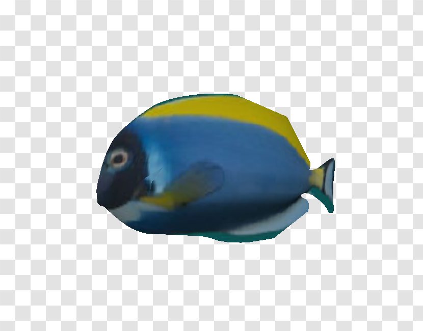Beak Cobalt Blue Marine Biology Fauna - Organism - Siamese Fighting Fish Transparent PNG