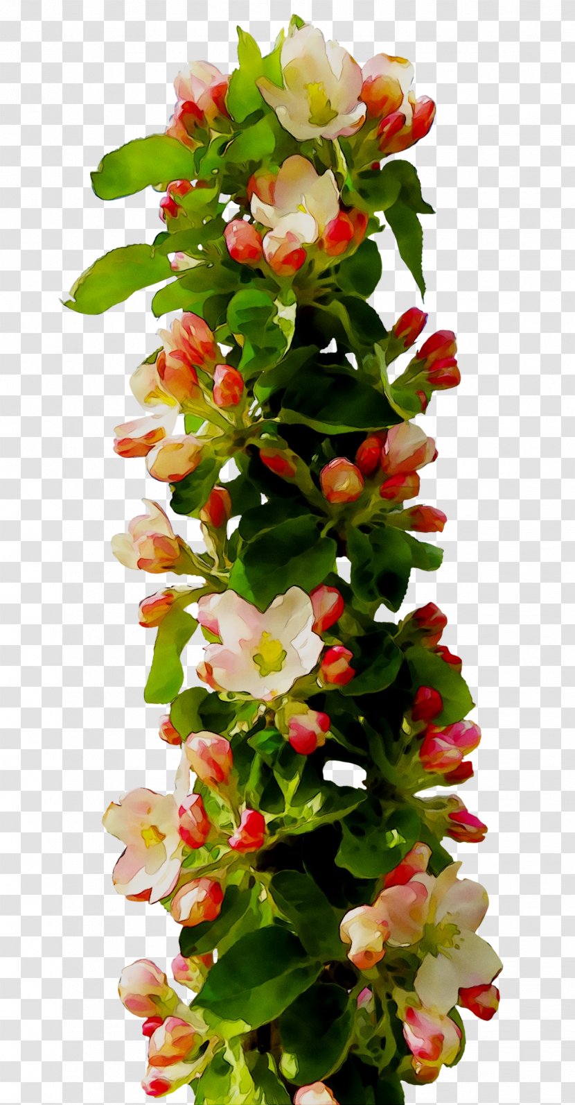 Floral Design Flower Bouquet Image Photograph - Yellow Transparent PNG