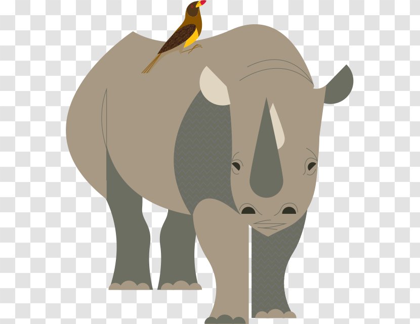 Rhinoceros Llama Bird Indian Elephant - Horn Transparent PNG