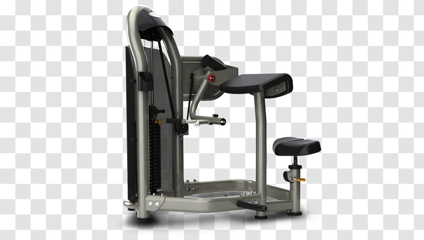 Biceps Curl Fitness Centre Arm Exercise - Machine Transparent PNG