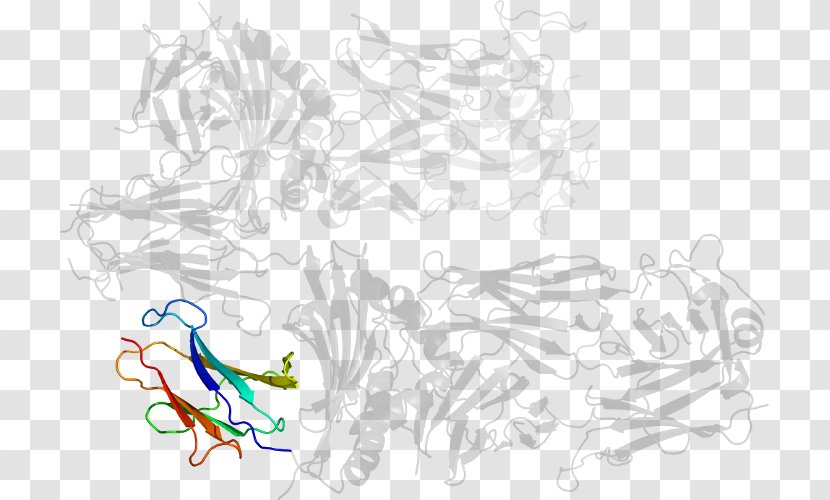 Line Art Cartoon Sketch - Fictional Character - Major Histocompatibility Complex Transparent PNG