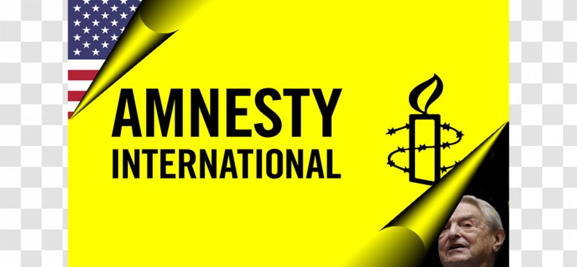 Amnesty International New Zealand USA Human Rights - Advertising Transparent PNG