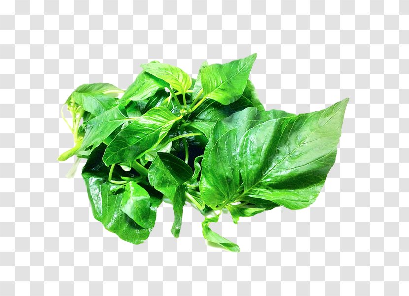 Spinach Food - Leaf - Vegetable Transparent PNG