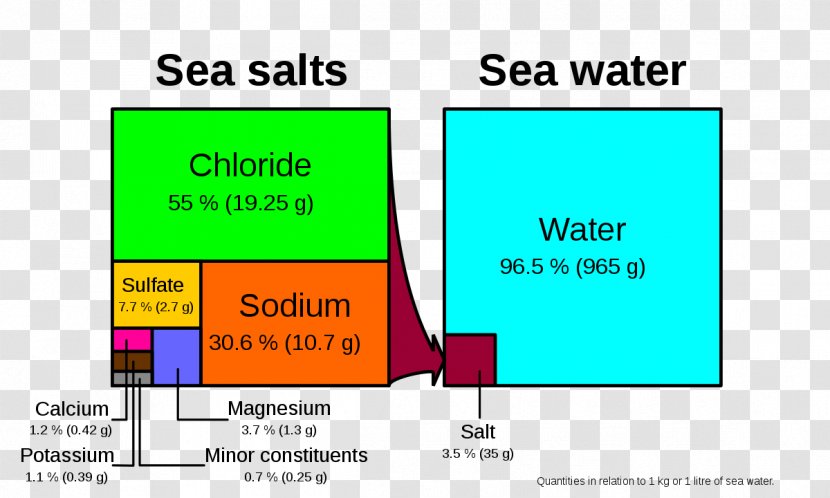 Temperature Salinity Diagram Seawater Ocean - Learning - Sea Transparent PNG