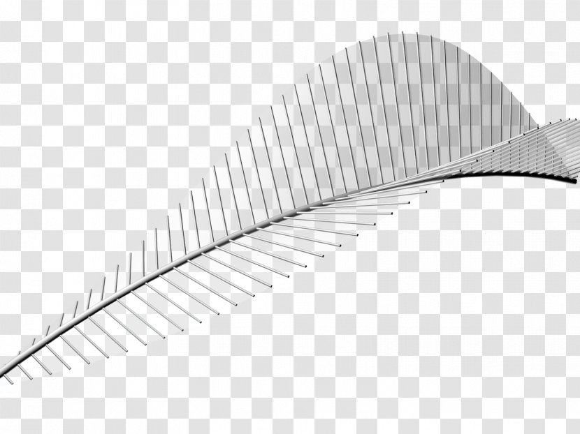 Line Angle Product Design - Wing Transparent PNG