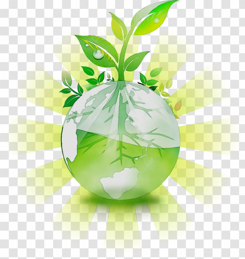 Alternative Health Services Product Retail Green Leaf - Medicine Transparent PNG