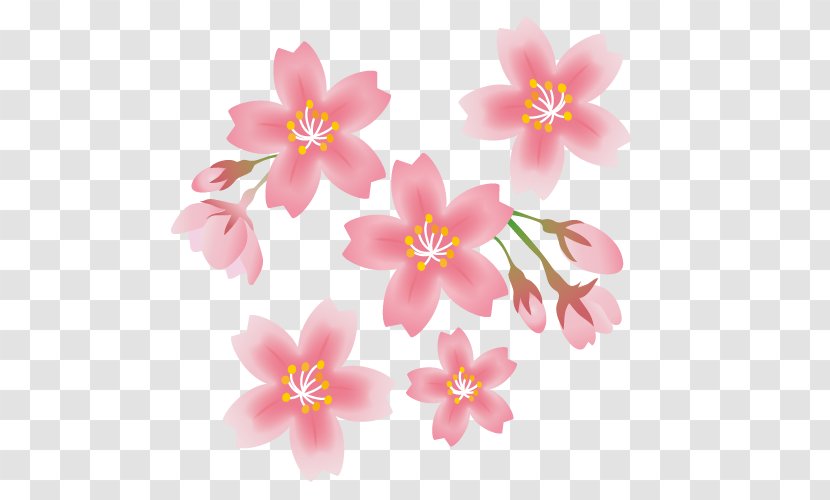 Cherry Blossom Flowers Clip Arts. - Frame - Tree Transparent PNG