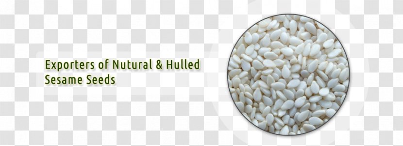 Dhaval Agri Exports LLP Sesame Seed Sales Transparent PNG
