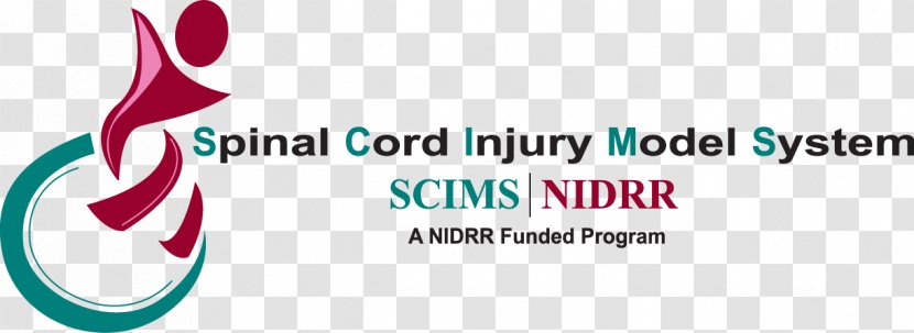 Spinal Cord Injury Vertebral Column Paralysis Lesion - Logo - Spine Model Transparent PNG