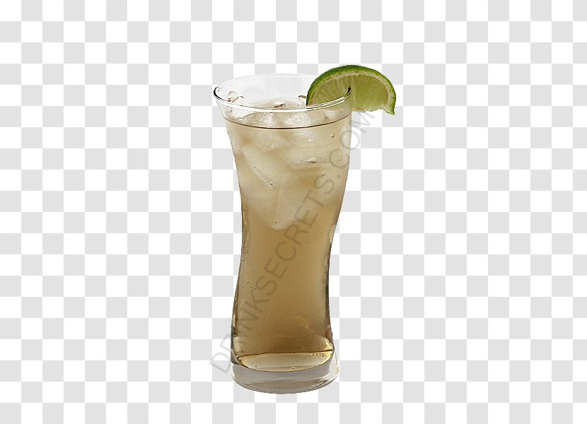 Cocktail Garnish Non-alcoholic Drink Highball Gin Transparent PNG