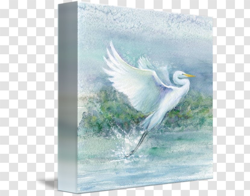 Snowy Egret Painting Beak Art - Wing - Poster Design Transparent PNG