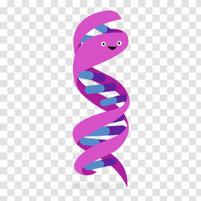Human Genome Project DNA Day Gene Nucleic Acid Double Helix Transparent PNG