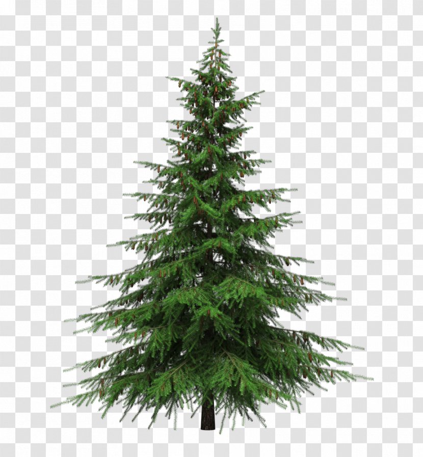 Balsam Fir Artificial Christmas Tree Pre-lit - Tinsel - Fir-tree Transparent PNG