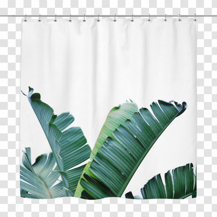 Banana Leaf Palm Trees Tropics - Art Transparent PNG