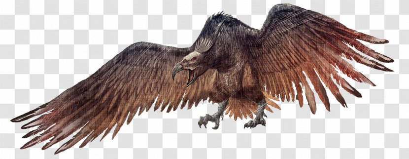 ARK: Survival Evolved Bird Dimorphodon Argentavis Magnificens Spinosaurus - Tail - Creatures Transparent PNG