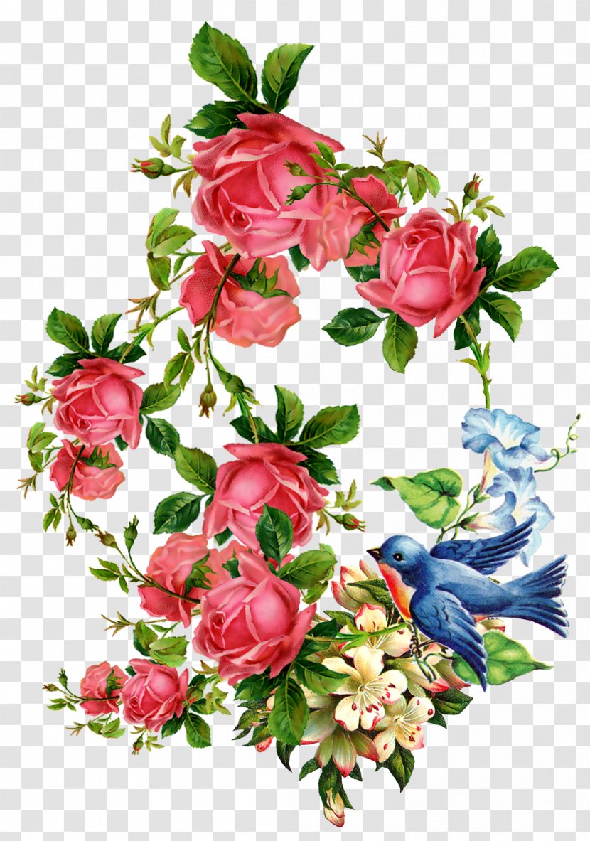 Flower Vintage Clothing Bokmxe4rke Clip Art - Rose Transparent PNG