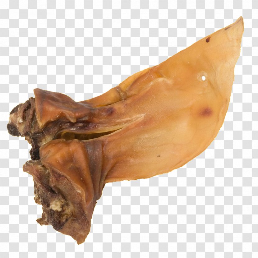 Lunderland Rinderohr Mit Muschel Pig's Ear - Animal Source Foods Transparent PNG