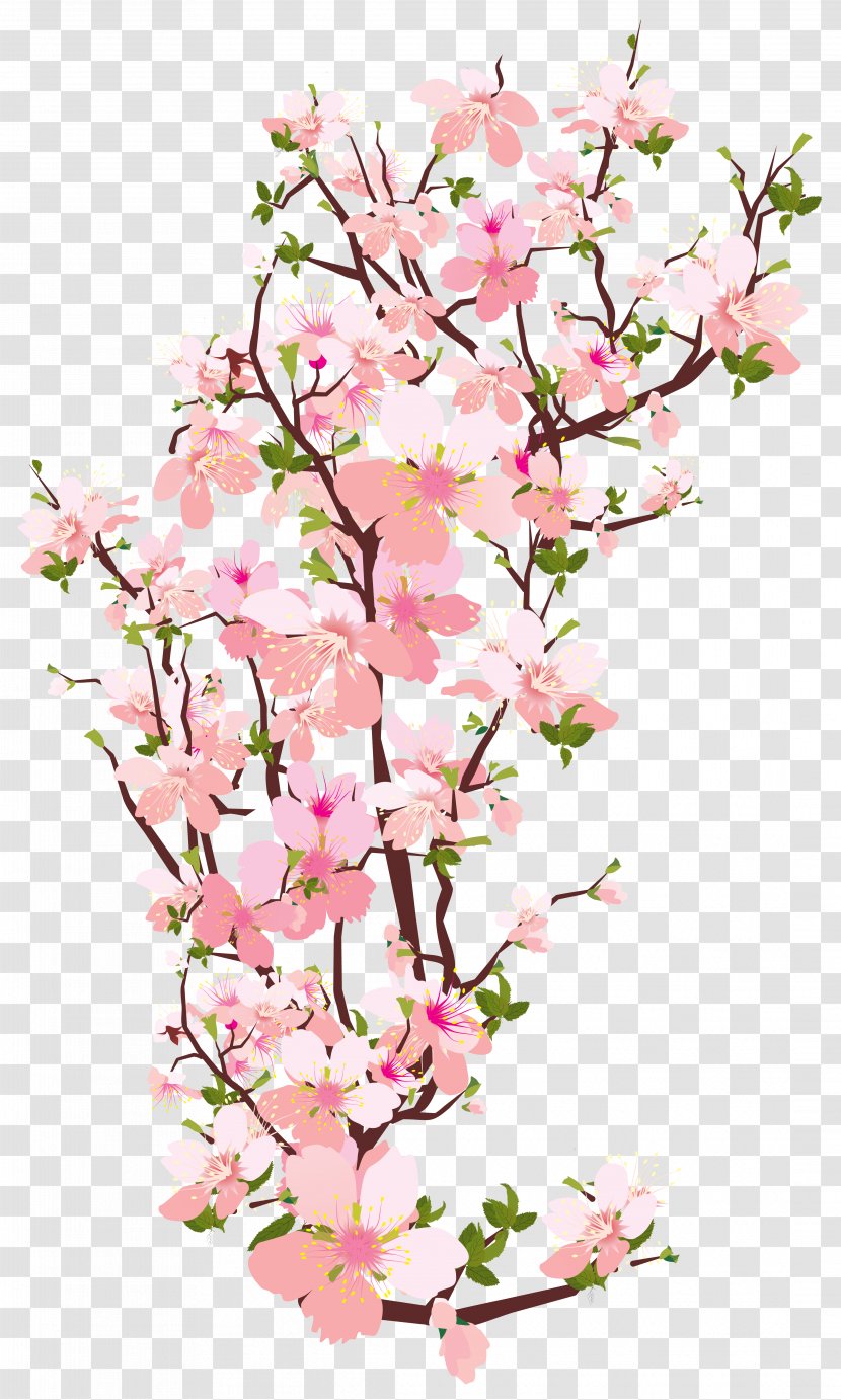 Branch Tree Cherry Blossom Clip Art - Floral Design - Transparent Spring Cliparts Transparent PNG